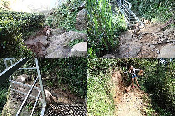 644745_428045497256515_1604125813_n