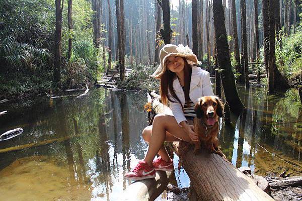 66507_428051023922629_675849811_n