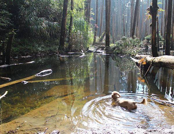 248403_428051343922597_337437431_n