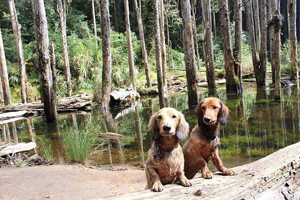 601349_428052327255832_1137214229_n