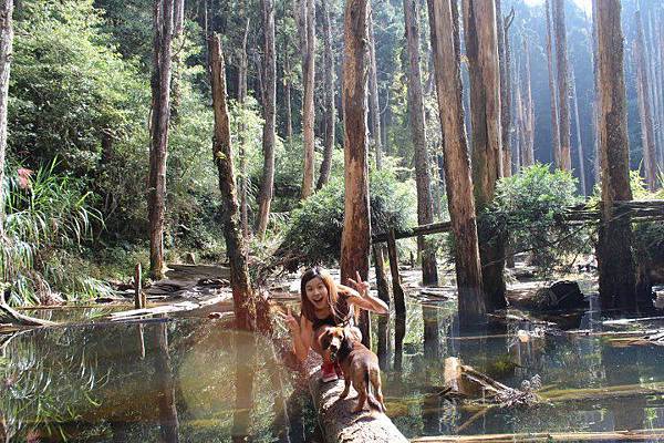 427941_428052600589138_1893023691_n 427941_428052600589138_1893023691_n