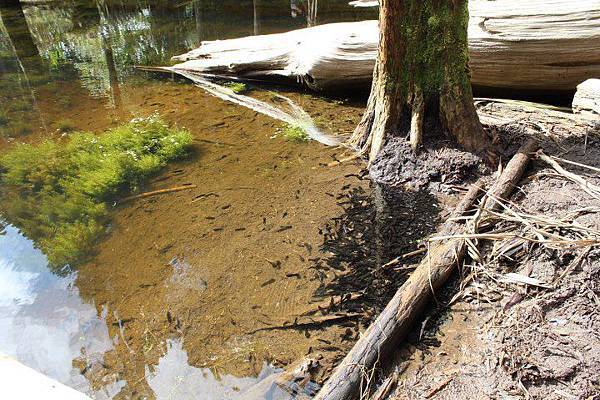 198458_428053030589095_2146788583_n 198458_428053030589095_2146788583_n