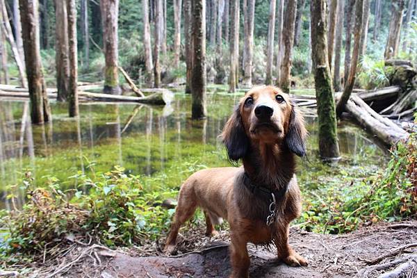 396427_428053750589023_82329061_n