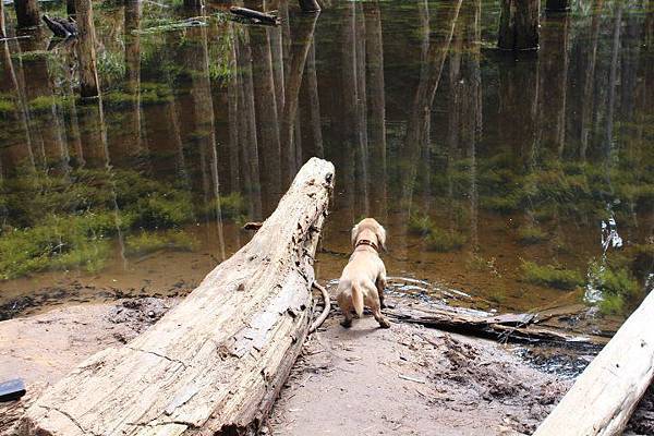 230542_428054420588956_2053443571_n 230542_428054420588956_2053443571_n