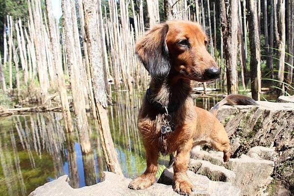 293074_428055243922207_474537251_n 293074_428055243922207_474537251_n