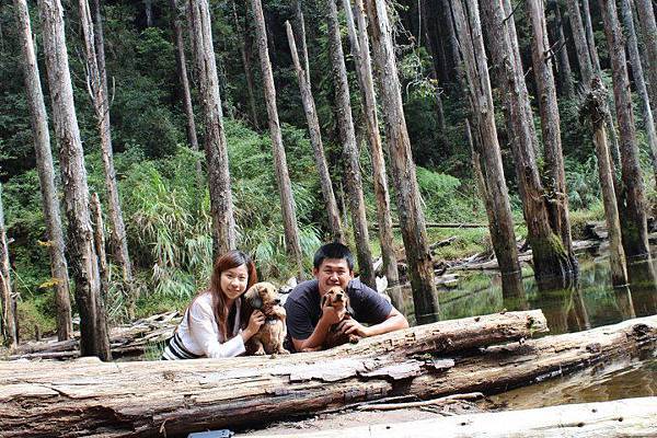 557209_428055547255510_1890942958_n