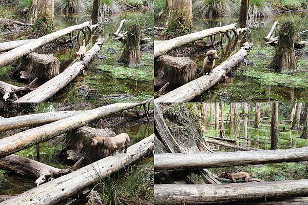 550889_428055950588803_1719518912_n 550889_428055950588803_1719518912_n