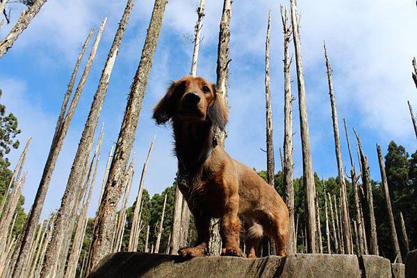 550619_428056657255399_871635050_n 550619_428056657255399_871635050_n