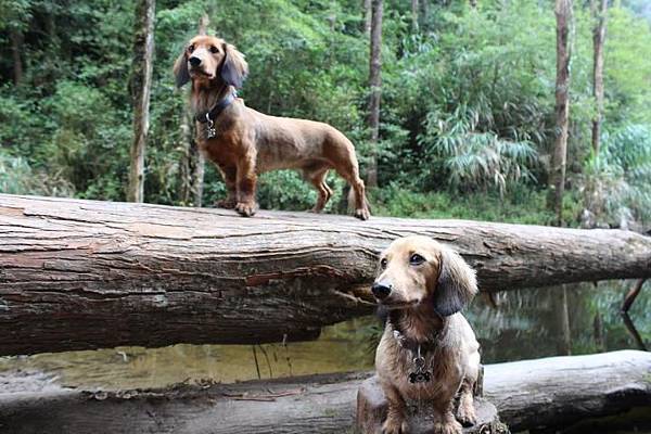 534233_428057047255360_1994525150_n 534233_428057047255360_1994525150_n