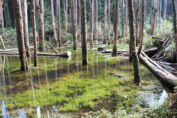 223114_428057293922002_725516016_n 223114_428057293922002_725516016_n