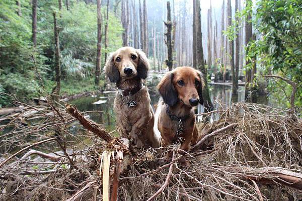 576957_428057407255324_252054478_n 576957_428057407255324_252054478_n