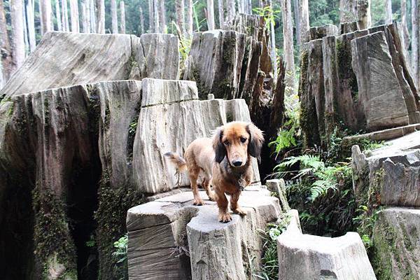 545326_428057653921966_157699880_n