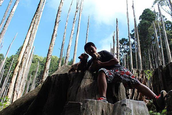 403304_428057920588606_1958527121_n