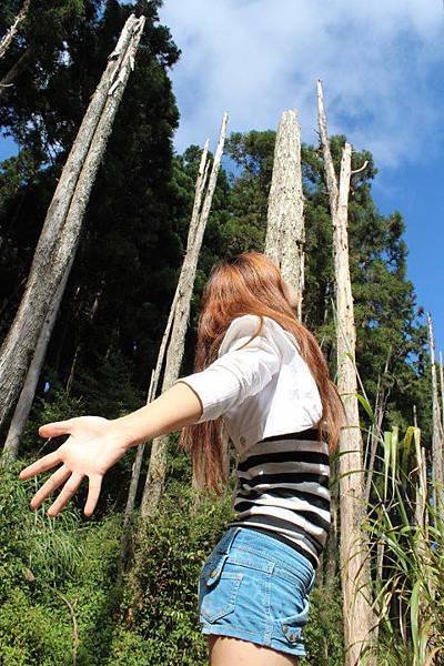 423656_428058463921885_577403406_n