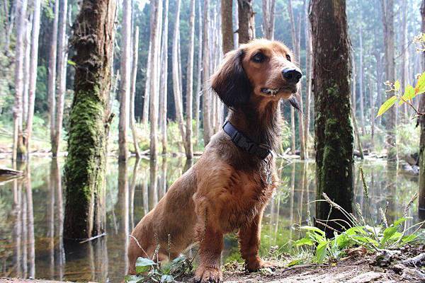 47955_428058593921872_271529592_n