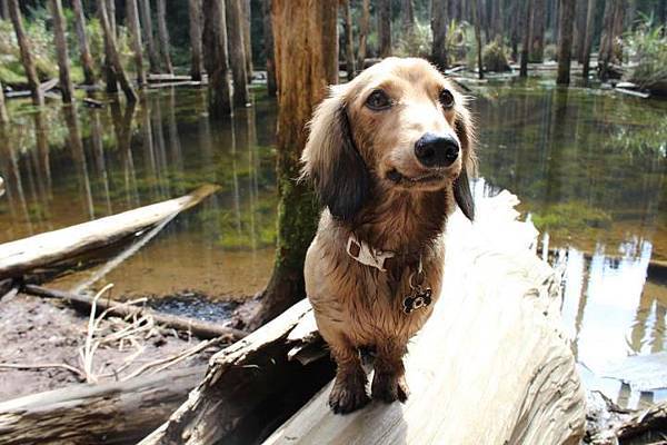 183380_428059067255158_1544967592_n