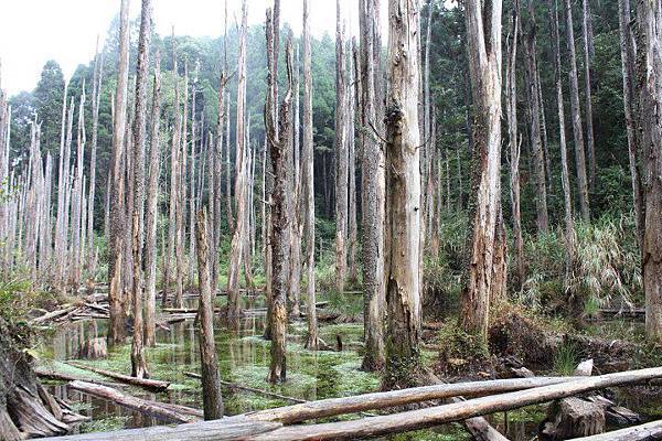 532215_428058743921857_259348294_n