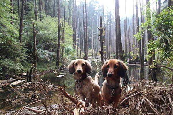 408451_428059217255143_1545454842_n