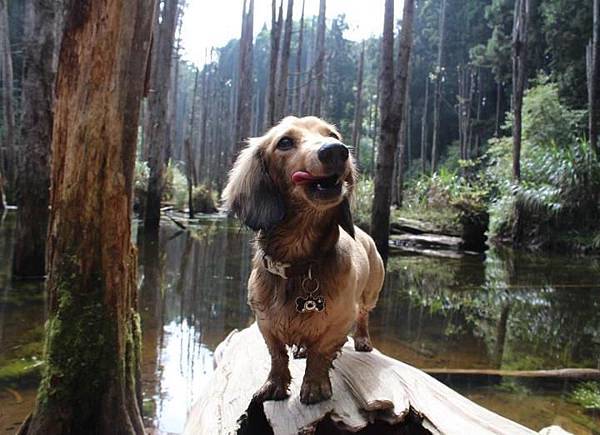 183337_428059457255119_1807404208_n 183337_428059457255119_1807404208_n