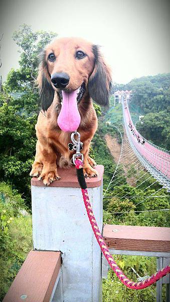 576978_423720397689025_2017149472_n