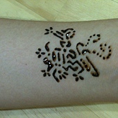 花開富貴 花開富貴