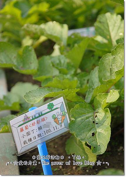 活動6.jpg 活動6.jpg