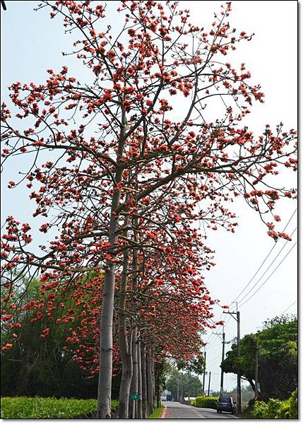 路 (1) 路 (1)