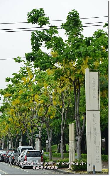 阿勃勒17 阿勃勒17