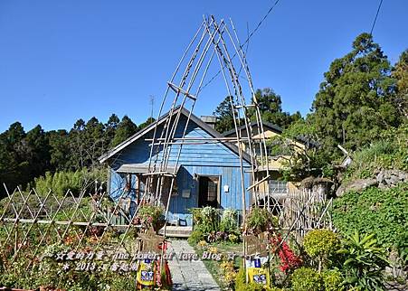 奮起湖16 奮起湖16