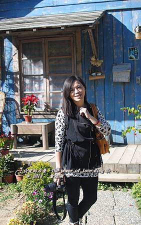 奮起湖22 奮起湖22