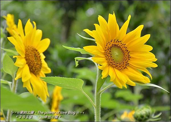 卓也26.jpg 卓也26.jpg