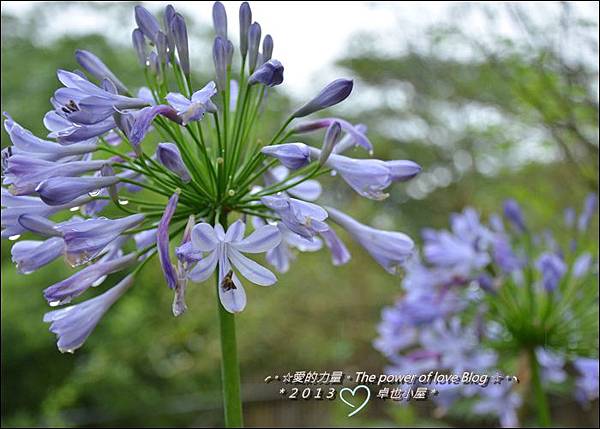 卓也29.jpg 卓也29.jpg