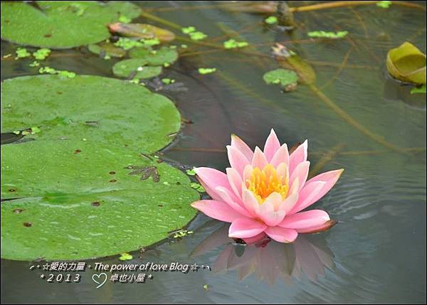 卓也30.jpg 卓也30.jpg