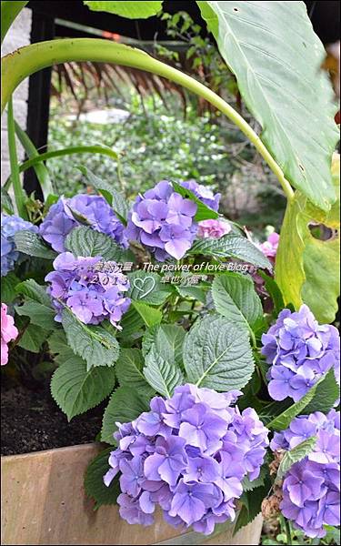 卓也31.jpg 卓也31.jpg