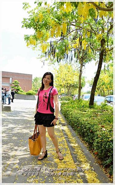 阿勃勒1 阿勃勒1