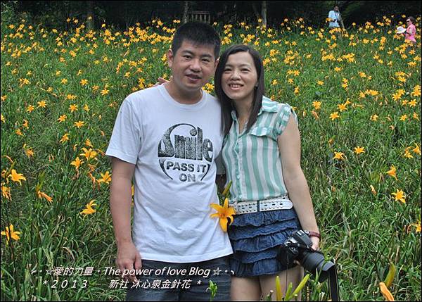 金針花17.jpg 金針花17.jpg