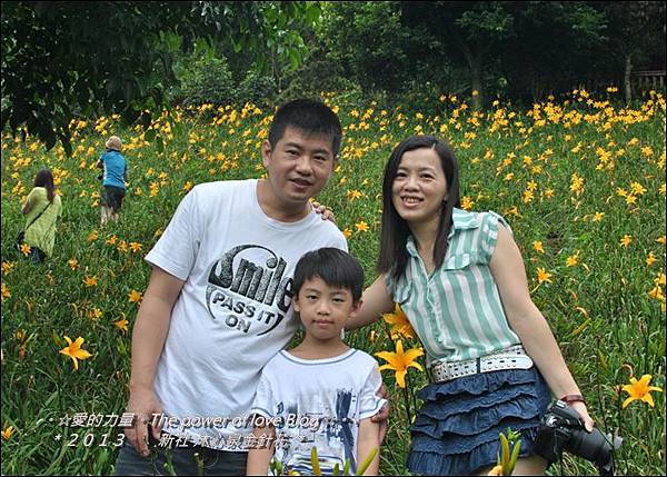 金針花18.jpg 金針花18.jpg