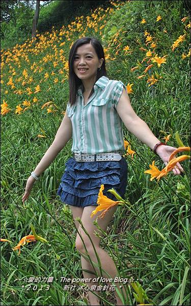 金針花21.jpg 金針花21.jpg