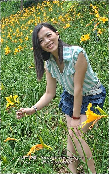 金針花22.jpg 金針花22.jpg