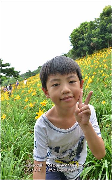 金針花24.jpg 金針花24.jpg