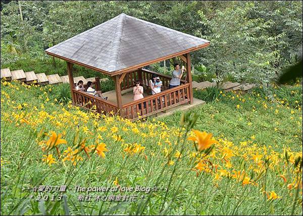 金針花28.jpg 金針花28.jpg