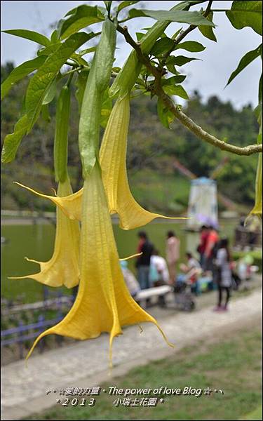 瑞士5.jpg 瑞士5.jpg