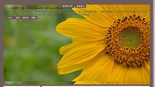 版型8.jpg 版型8.jpg