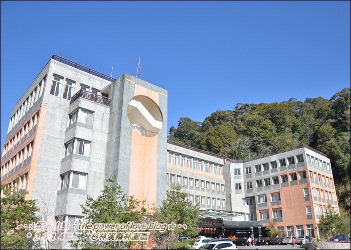 杉林6.jpg 杉林6.jpg