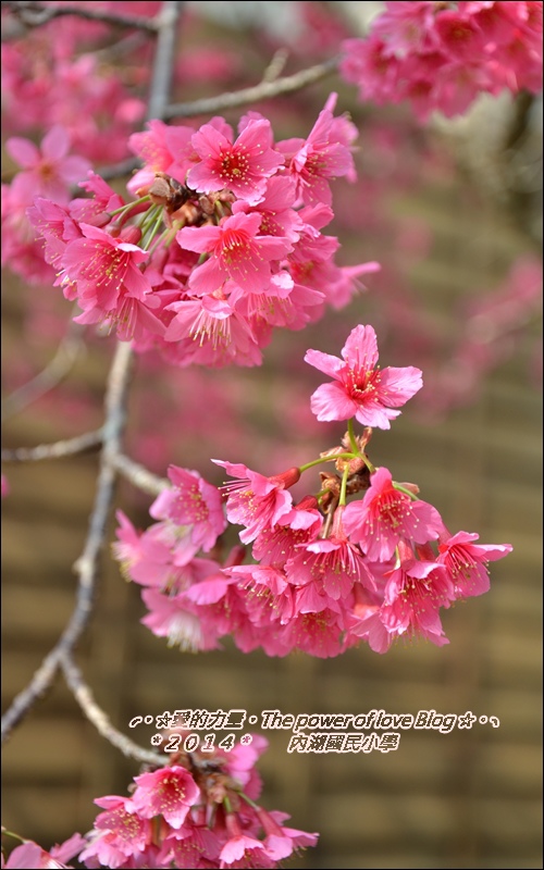 內湖2.jpg 內湖2.jpg