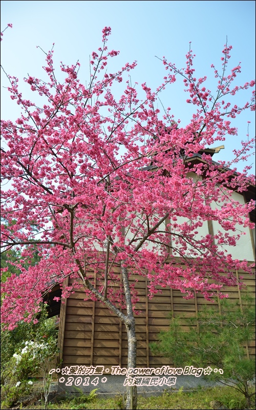 內湖4.jpg 內湖4.jpg