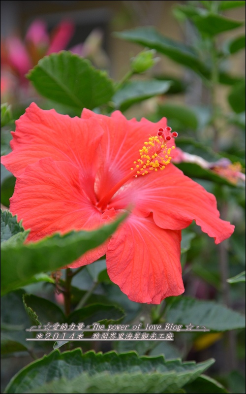 雅聞14.jpg 雅聞14.jpg