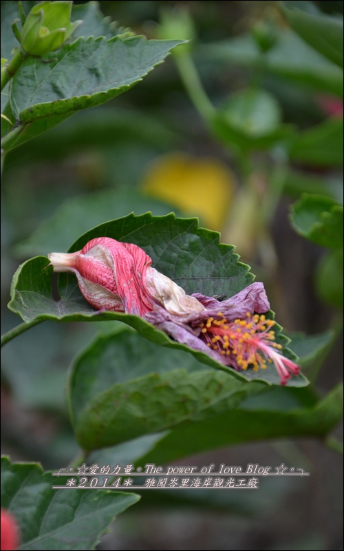 雅聞15.jpg 雅聞15.jpg