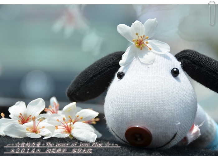 客家1.jpg 客家1.jpg