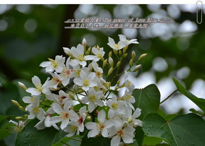 客家3.jpg 客家3.jpg